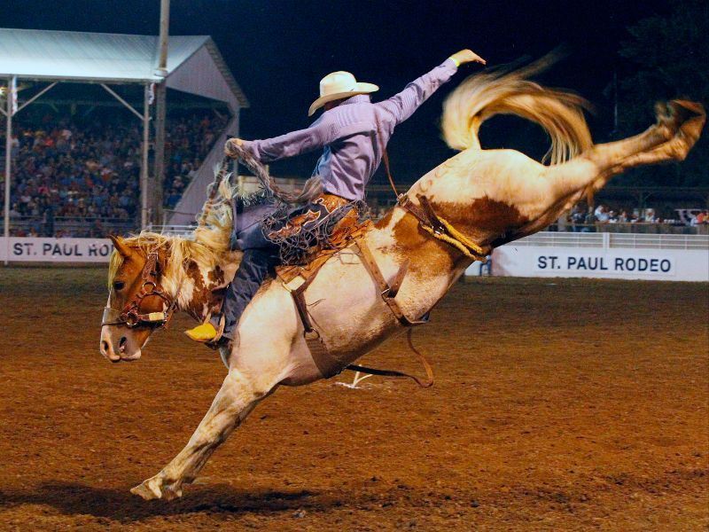 Rodeo
